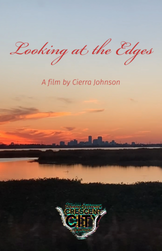Looking at the Edges film poster