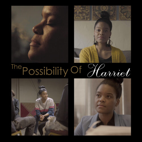 The Possibility of Harriet series cover art